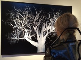 danica-amsterdam-tree-jpg